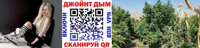 Бошки Шишки LSD WEED  где купить наркотик  darknet Telegram  Венёв 